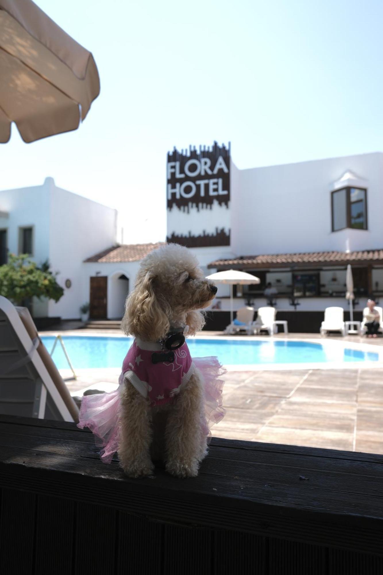 Flora Hotel Gumbet Exterior photo